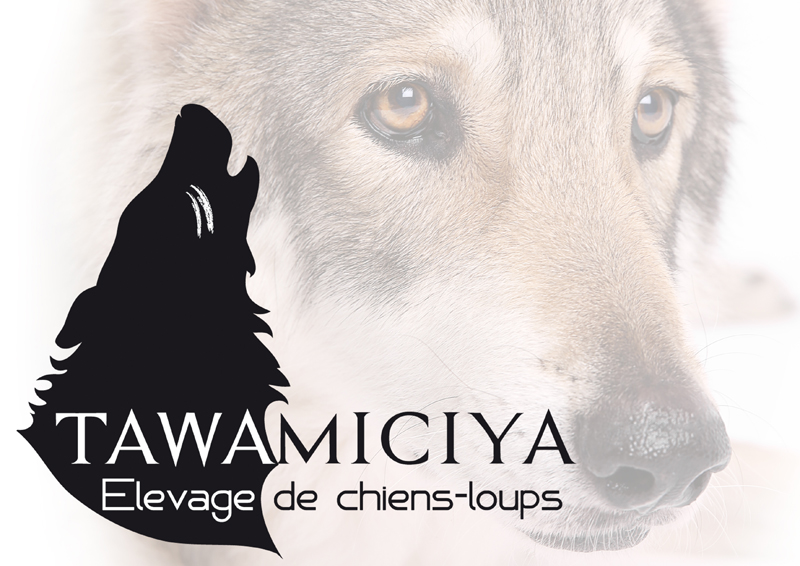 Tawamiciya (Sans Affixe)