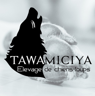 Tawamiciya